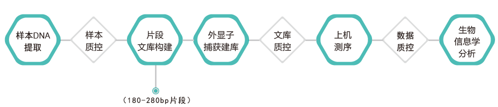 全外显子测序-技术路线-K8凯发国际基因 全外显子测序-技术路线-K8凯发国际基因
