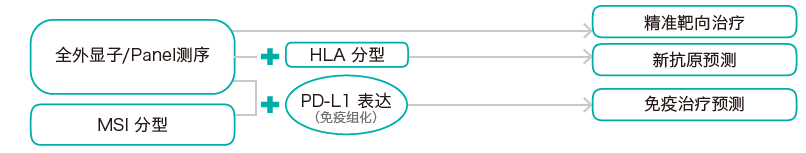 目标区域靶向捕获测序-肿瘤突变分析检测方法-K8凯发国际基因