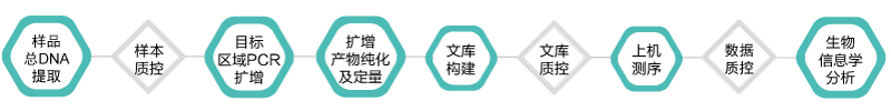 16S 18S ITS扩增子-技术路线-K8凯发国际基因 16S 18S ITS扩增子-技术路线-K8凯发国际基因
